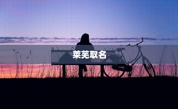 莱芜取名