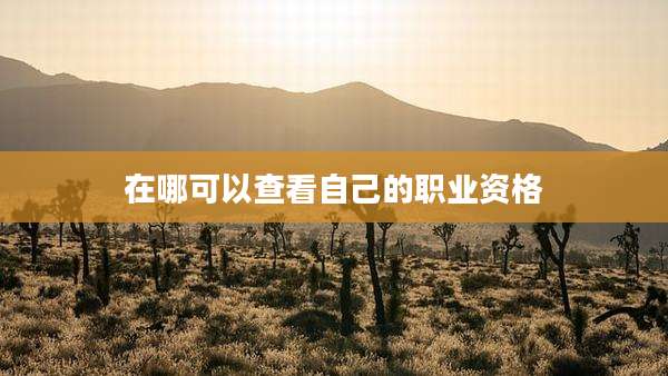 在哪可以查看自己的职业资格