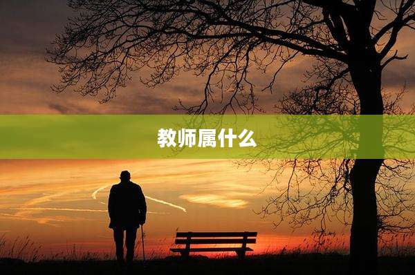 教师属什么