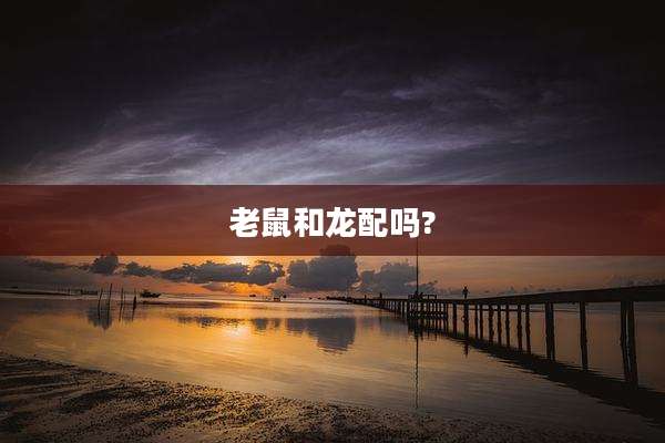 老鼠和龙配吗?