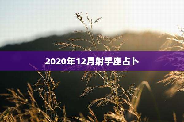 2020年12月射手座占卜