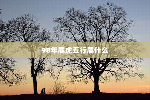 98年属虎五行属什么