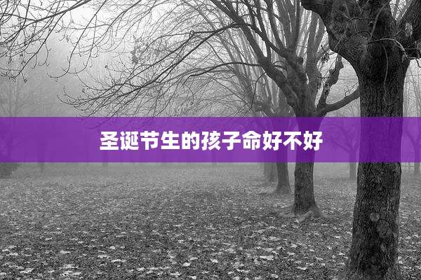 圣诞节生的孩子命好不好