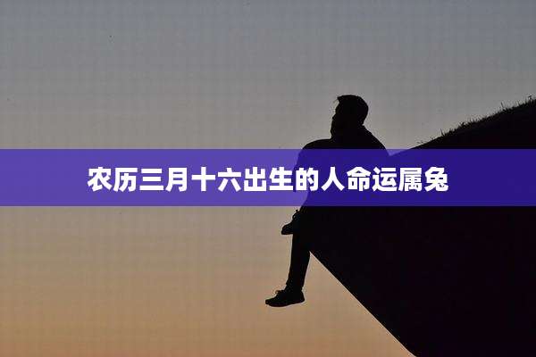 农历三月十六出生的人命运属兔