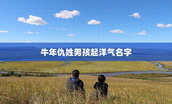 牛年仇姓男孩起洋气名字