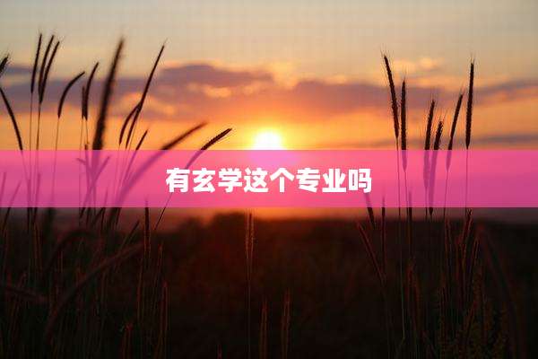 有玄学这个专业吗