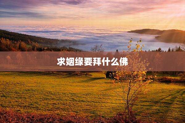 求姻缘要拜什么佛