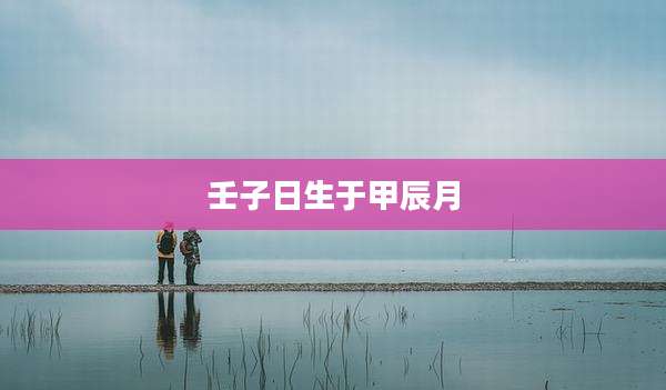壬子日生于甲辰月