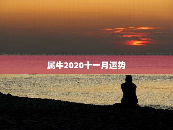 属牛2020十一月运势