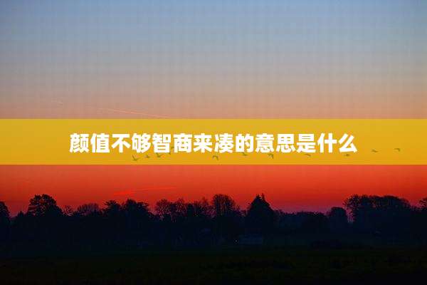 颜值不够智商来凑的意思是什么