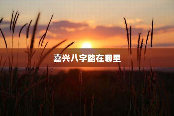 嘉兴八字路在哪里