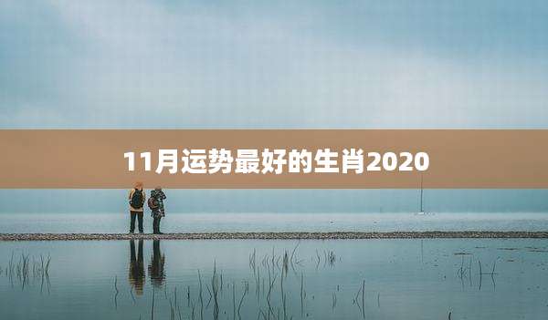 11月运势最好的生肖2020