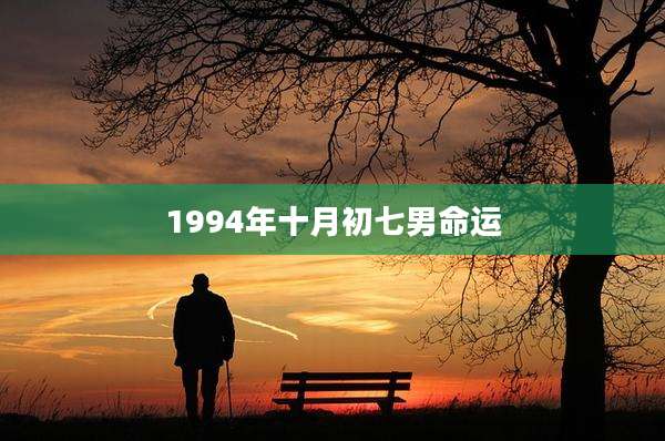 1994年十月初七男命运