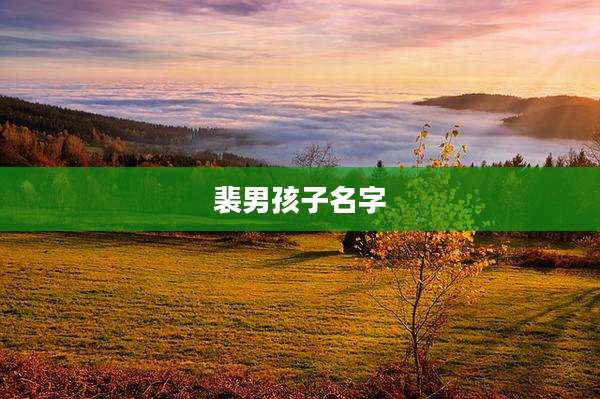 裴男孩子名字