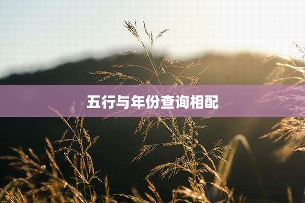 五行与年份查询相配