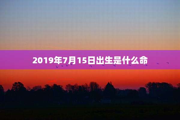 2019年7月15日出生是什么命