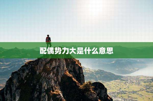 配偶势力大是什么意思
