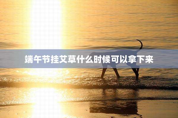 端午节挂艾草什么时候可以拿下来