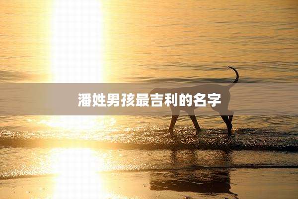 潘姓男孩最吉利的名字