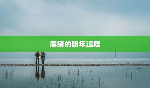 属猪的明年运程
