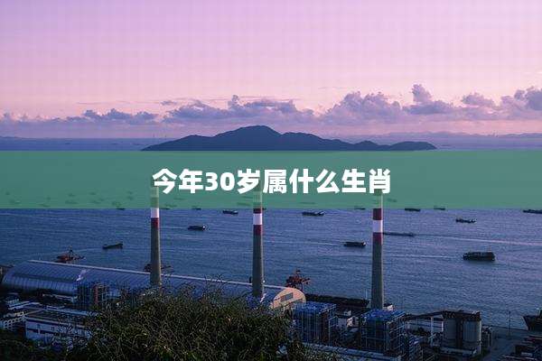 今年30岁属什么生肖