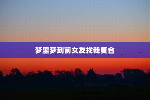 梦里梦到前女友找我复合