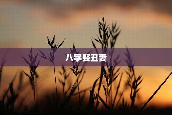 八字娶丑妻