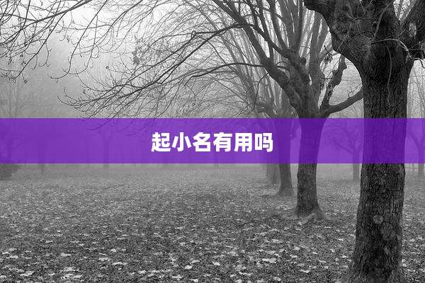起小名有用吗