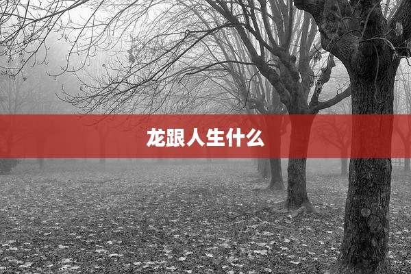 龙跟人生什么