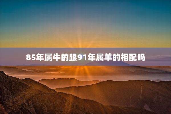 85年属牛的跟91年属羊的相配吗