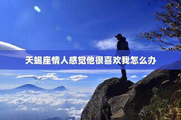 天蝎座情人感觉他很喜欢我怎么办