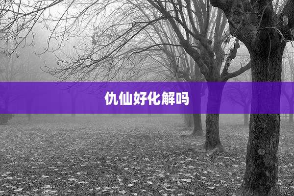 仇仙好化解吗