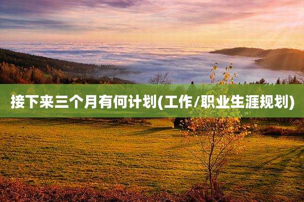 接下来三个月有何计划(工作/职业生涯规划)