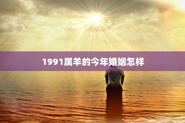1991属羊的今年婚姻怎样