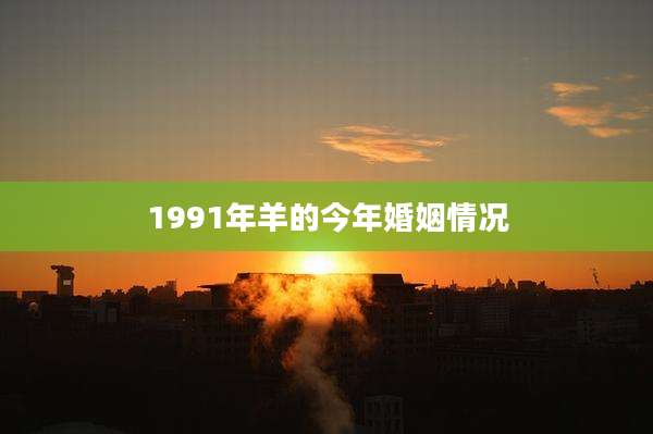 1991年羊的今年婚姻情况