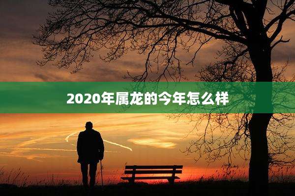 2020年属龙的今年怎么样