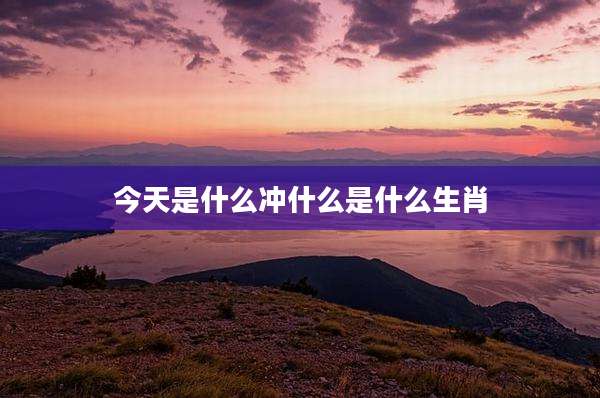 今天是什么冲什么是什么生肖