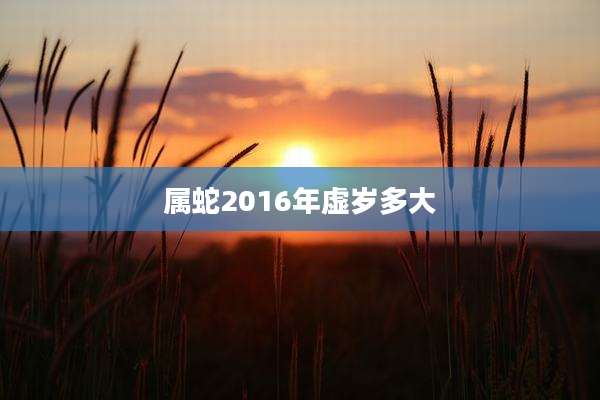 属蛇2016年虚岁多大
