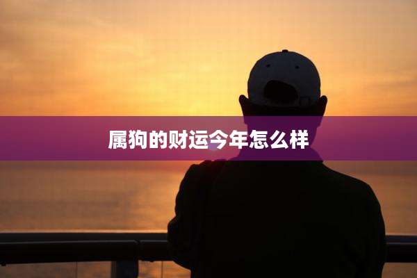 属狗的财运今年怎么样