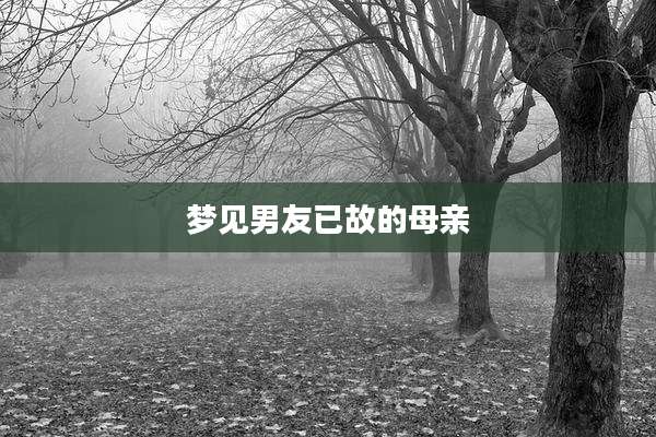 梦见男友已故的母亲
