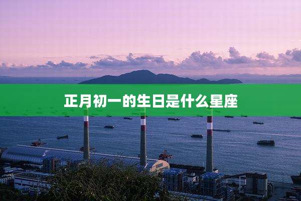 正月初一的生日是什么星座