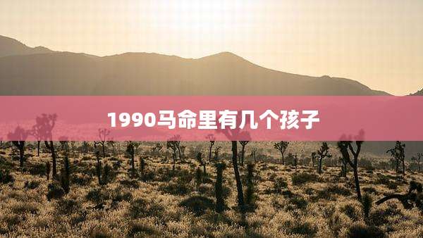 1990马命里有几个孩子