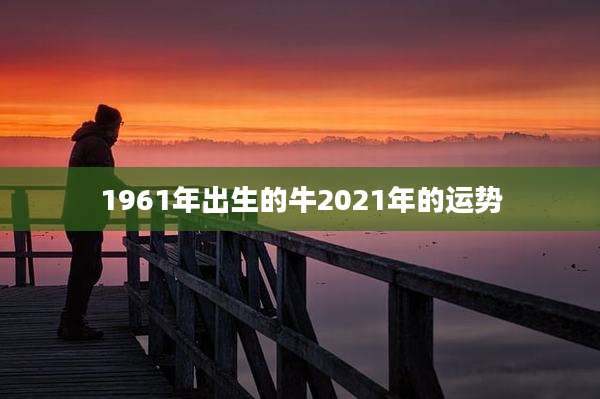 1961年出生的牛2021年的运势