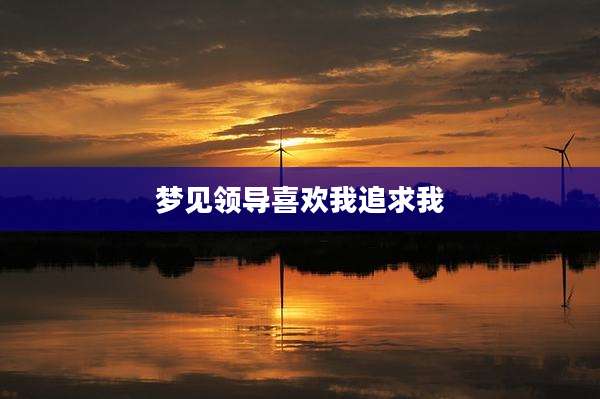 梦见领导喜欢我追求我