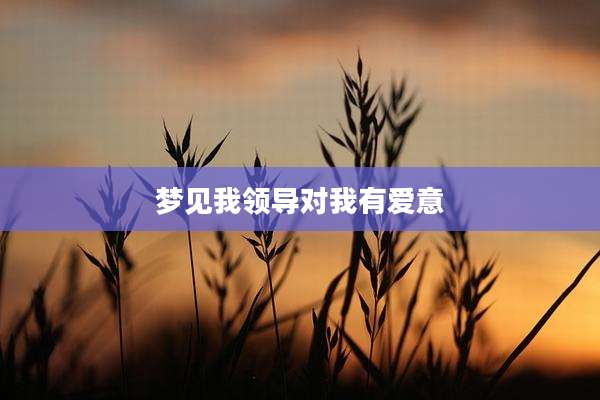 梦见我领导对我有爱意