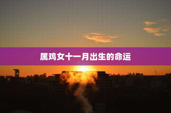 属鸡女十一月出生的命运