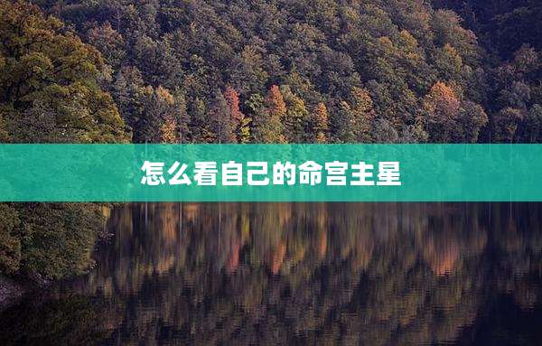 怎么看自己的命宫主星