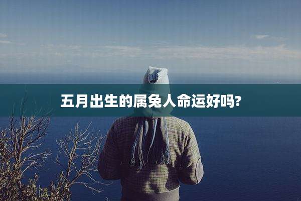 五月出生的属兔人命运好吗?