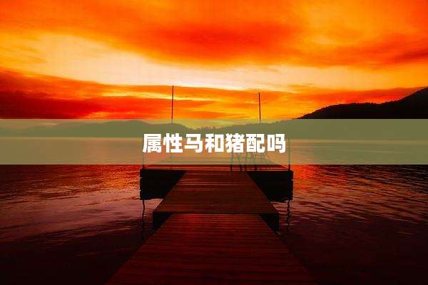 属性马和猪配吗