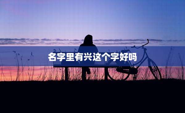 名字里有兴这个字好吗